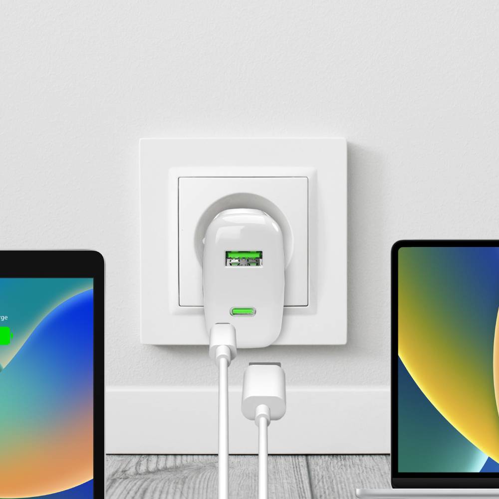 Puro Caricabatterie da parete MiniPro 65W USB-C e USB-A– tecnologia GAN Offerta natalizia