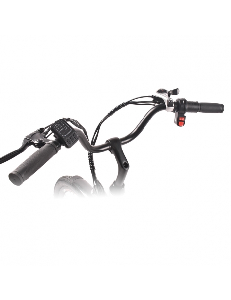 MYATU MYT-TYY Bicicletta elettrica motore 350W batteria 36V 15Ah pneumatici 26*1.95'' velocità massima 25km/h - Bianco I Più Venduti