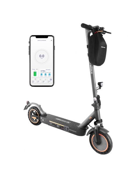HONEYWHALE E9 MAX con omologazione stradale (ABE) scooter elettrico pieghevole con motore da 500W batteria da 36V 10Ah In Saldo