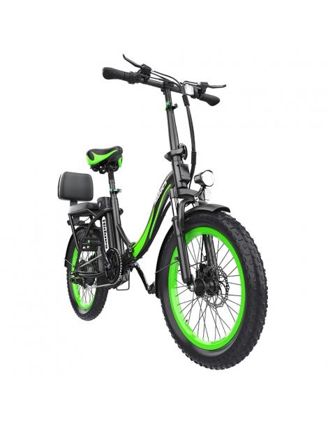 Hidoes C1 Bici Elettrica Pieghevole con Sella Posteriore Motore 750W Batteria 48V 13Ah Pneumatico Grasso 20*3 pollici Moda
