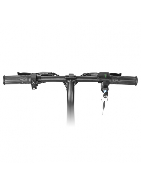 LAIFOOK Dolphin Bici Elettrica Pieghevole Motore 250W Batteria 36V 7.8AH Pneumatico 14 pollici - Nero In Linea