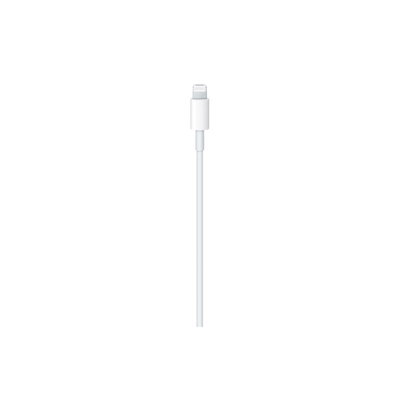 APPLE Cavo Apple Lightning a USB-C Promozione