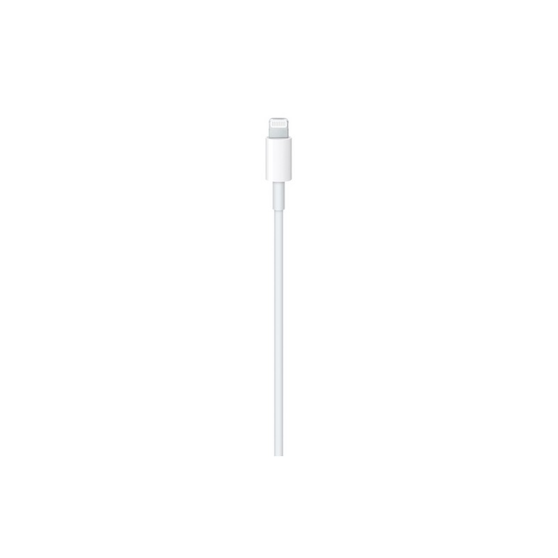 APPLE CAVO APPLE LIGHTNING USB-C In Vendita