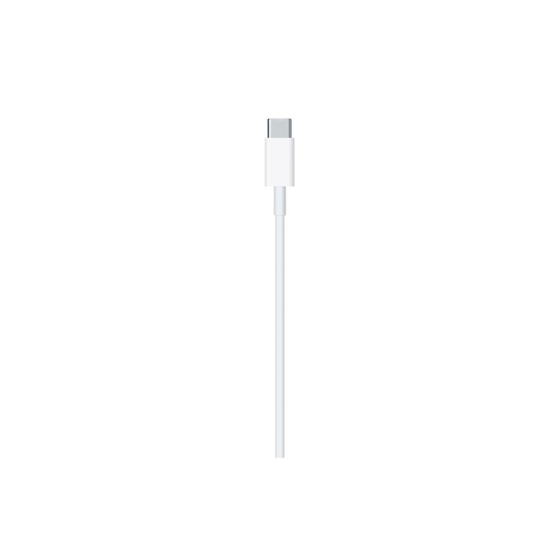 APPLE CAVO APPLE LIGHTNING USB-C In Vendita