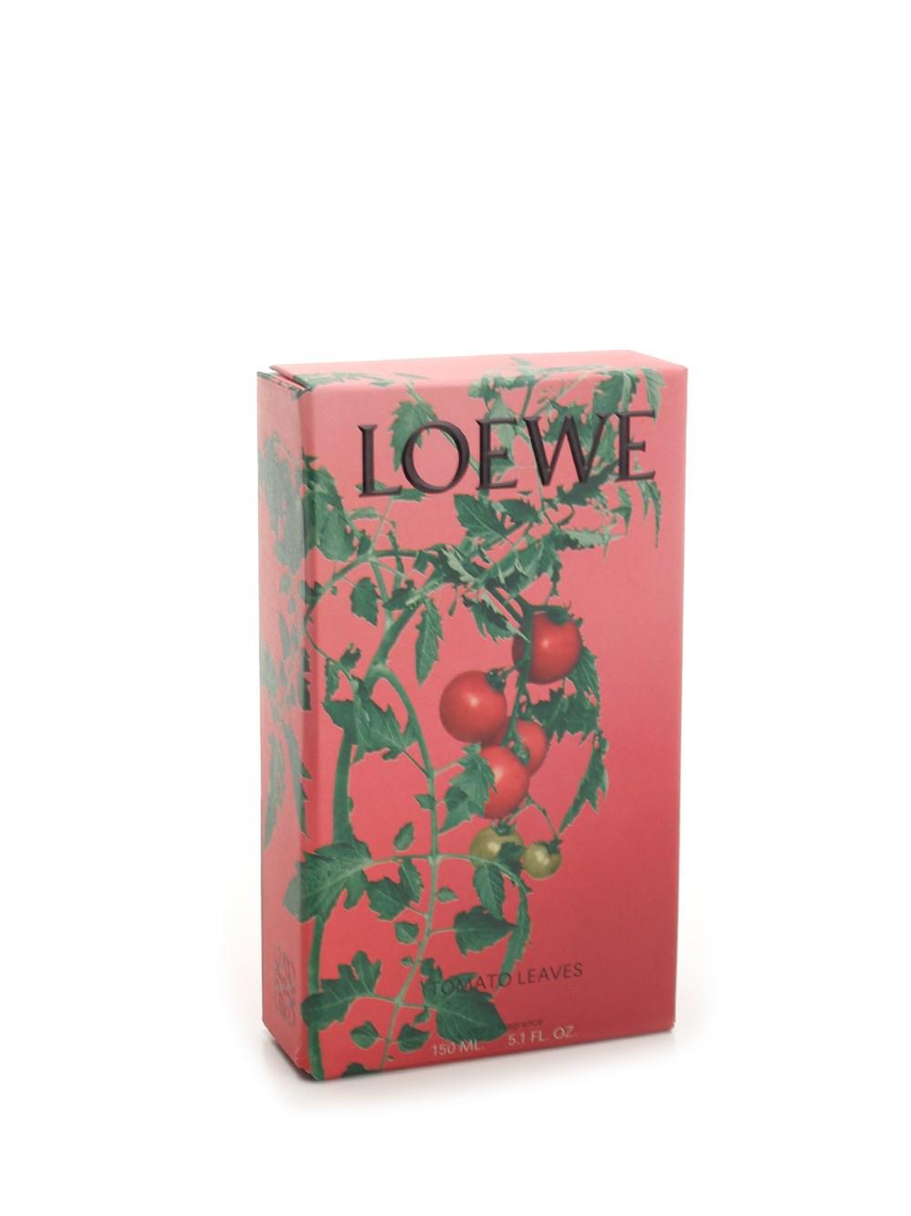 Al Duca D'Aosta Loewe Home Scents Fragranza per ambienti pomodoro Qualità Garantita