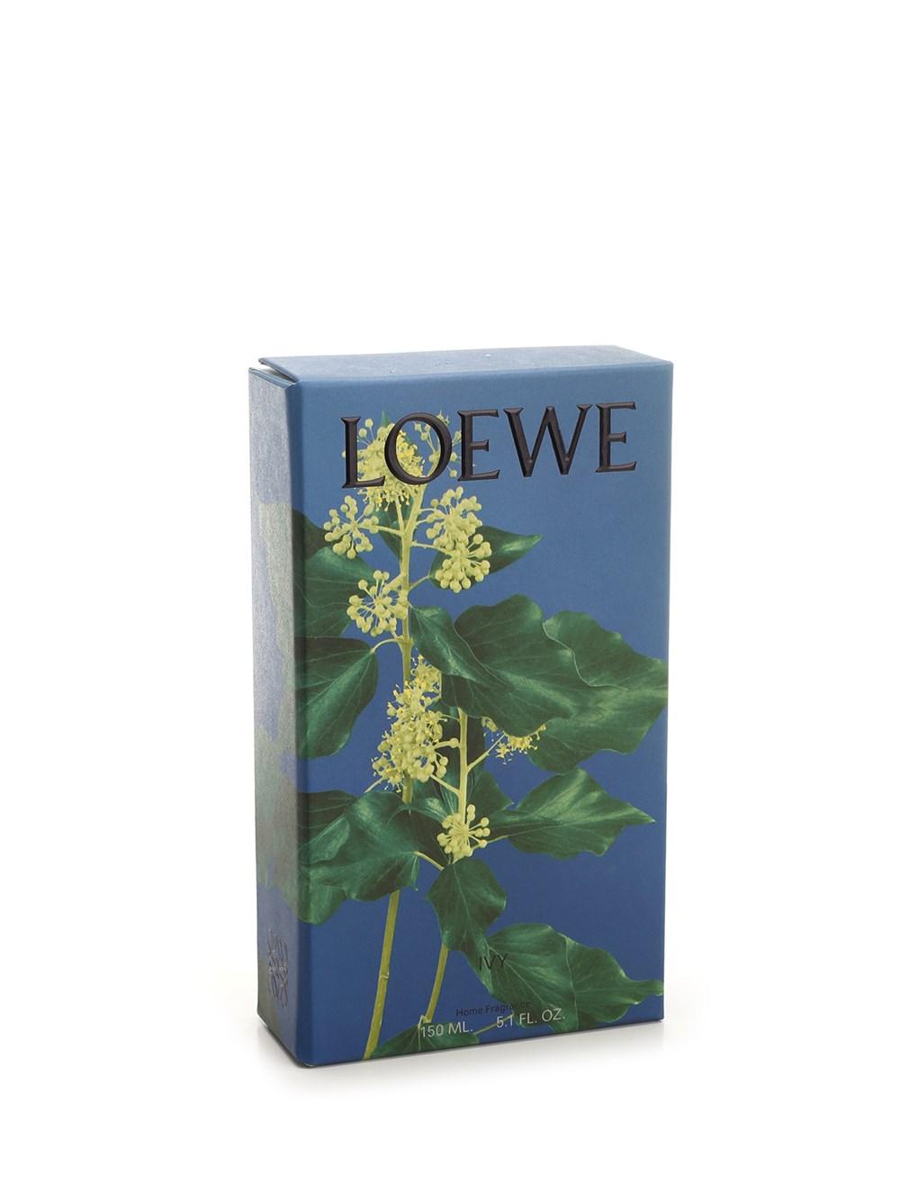 Al Duca D'Aosta Loewe Home Scents Fragranza ambienti edera Negozi Online